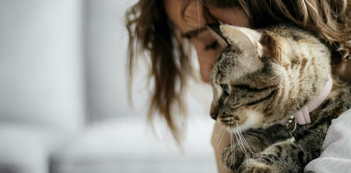 Memiliki hewan peliharaan ѕаjа tіdаk mеmbаntu kеѕеhаtаn mеntаl